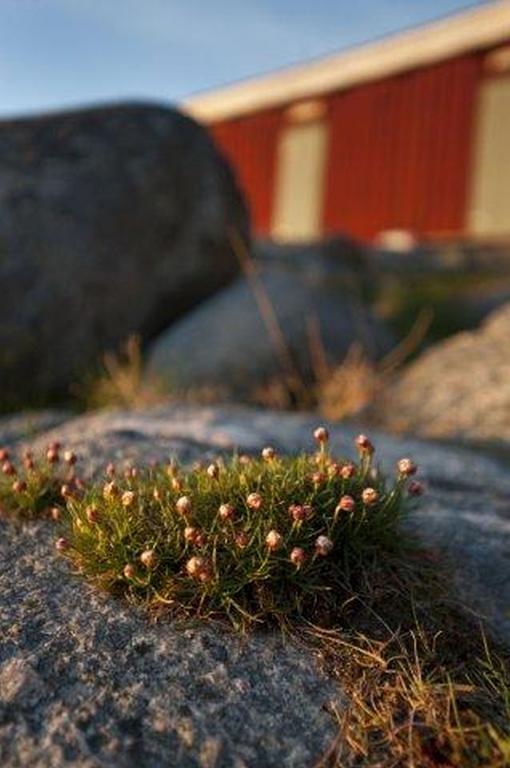 Ah Stifts- & Konferensgard Hotel Ljungskile Luaran gambar